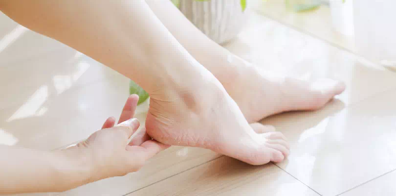 ページイメージ画像