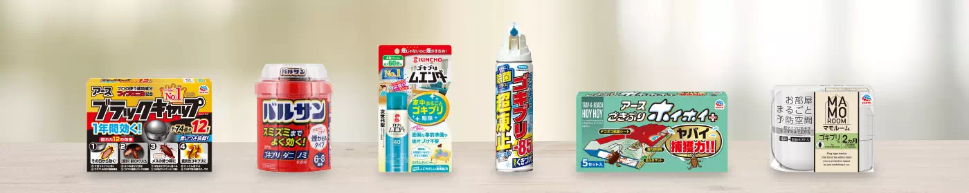 商品イメージ